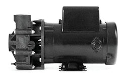 T4